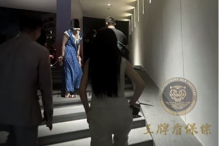 网红遭遇网暴威胁，雇佣王牌盾保镖护安全